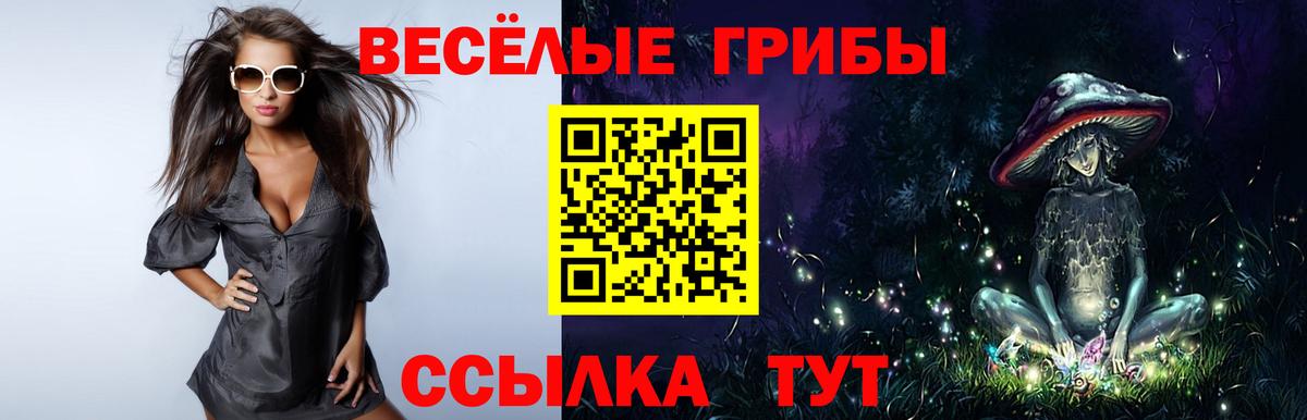 Саранск  Галлюциногенные грибы Magic Shrooms  Вход с VPN 